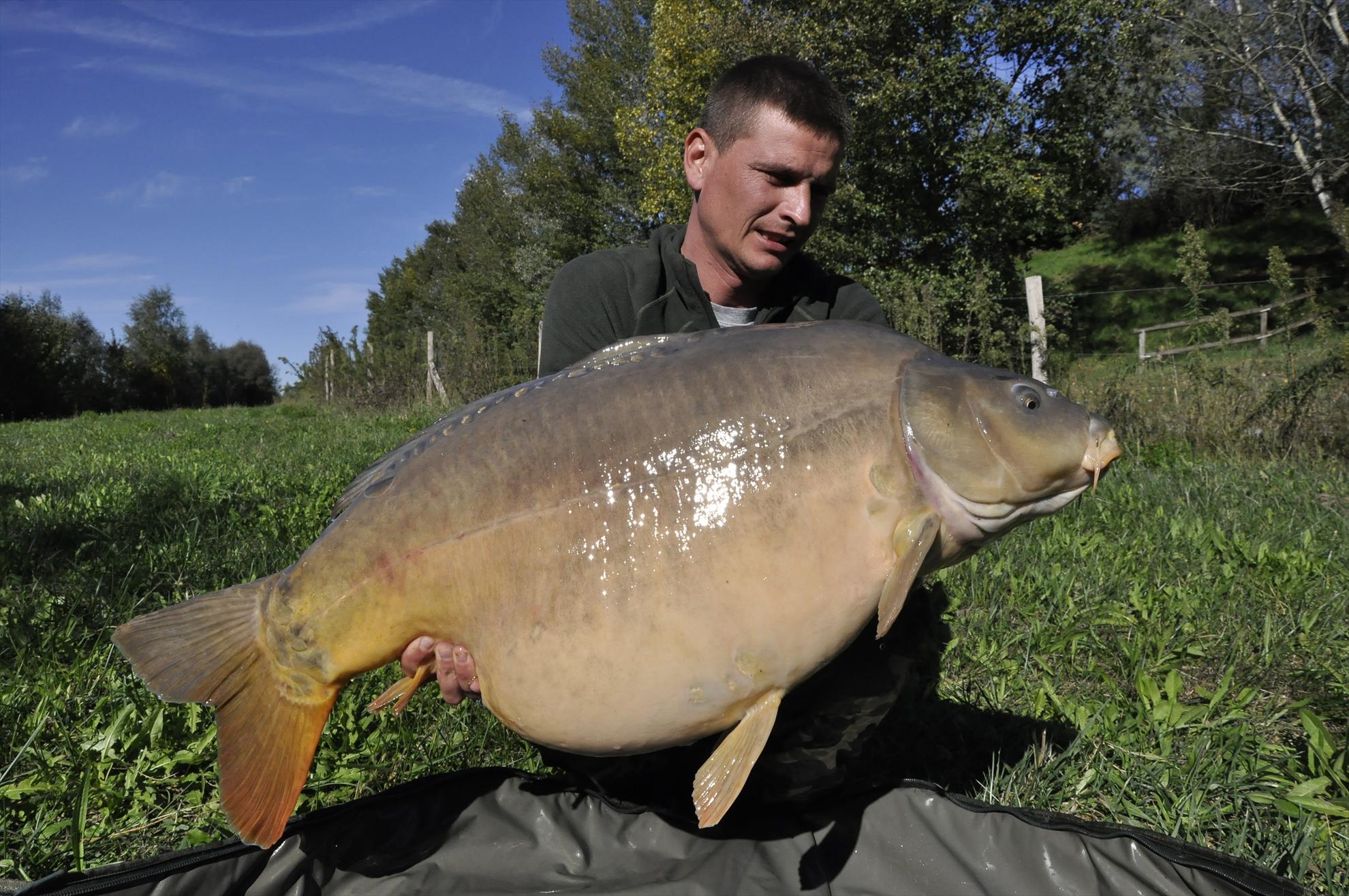 CARP FISHING...... - dsc0214.JPG